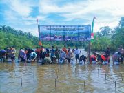 Penanaman Mangrove Nasional