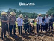 Penanaman Jagung Polres Bengkulu Selatan Dalam Rangka Mendukung Ketahanan pangan
